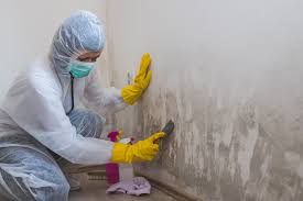 Why You Should Choose Our Mold Remediation Services in Richfield, MN